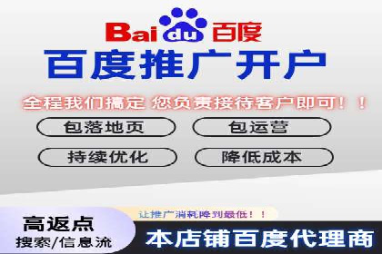 案例分析：成功SEM托管策略全解析